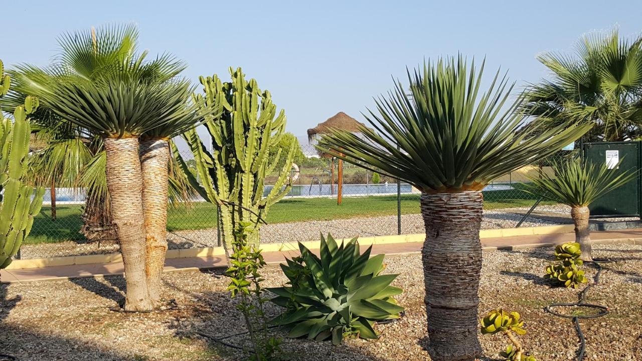 Apartments Sol De Almeria Golf Y Playa Retamar  Exteriör bild